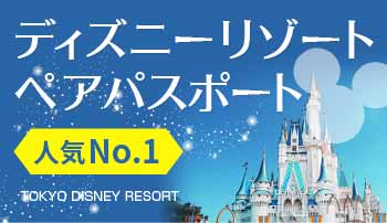 遊園地/テーマパークディズニーペアチケット