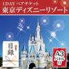 ★東京ディズニーリゾート１DAYパスポート ぺア