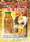 ウコンの力　エキスドリンク 100ml×6本