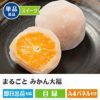 まるごと みかん大福3個入り