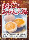 まるごと みかん大福3個入り