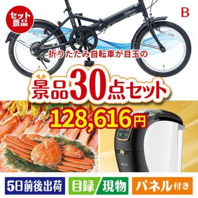 折りたたみ自転車 30点セットB