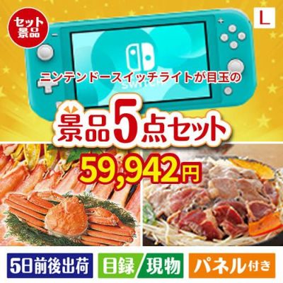 ニンテンドースイッチライトが目玉の家族が喜ぶ景品5点セットL