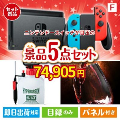 ニンテンドースイッチが目玉の備えも贅沢も叶う景品5点セットF
