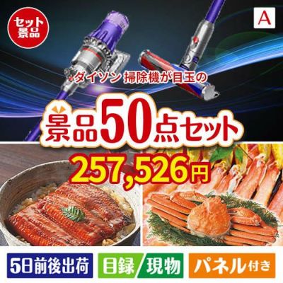 ダイソン掃除機が目玉の実用性抜群の景品50点セットA
