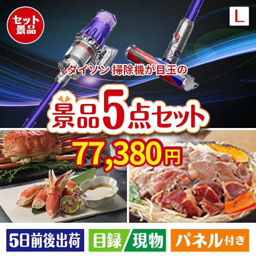 ダイソン掃除機が目玉の家族が喜ぶ景品5点セットL