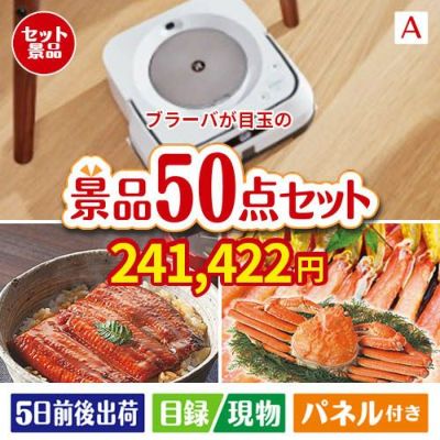 床拭きロボット ブラーバが目玉の実用性抜群の景品50点セットA