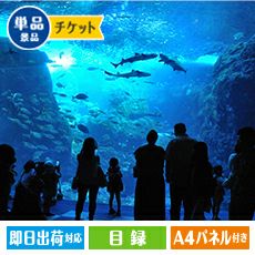 新江ノ島水族館 入場券 | 景品ショップマイルーム