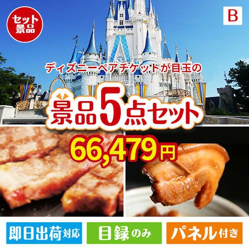 東京ディズニーリゾート１DAYパスポート ぺア 5点セットB