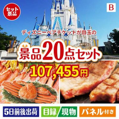 ディズニーペアチケットが目玉の珈琲と紅茶でカフェ気分を楽しめる景品20点セットB
