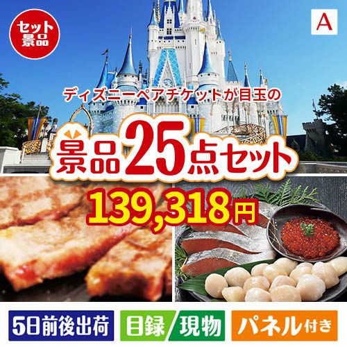 東京ディズニーリゾート１DAYパスポート ぺア 25点セットA