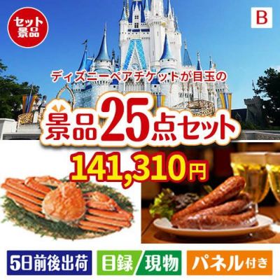 東京ディズニーリゾート１DAYパスポート ぺア 25点セットB