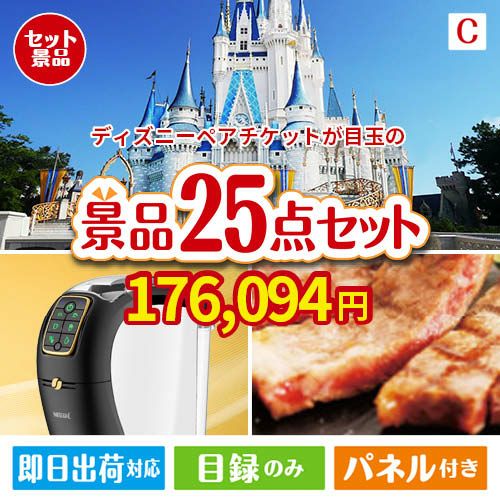 東京ディズニーリゾート１DAYパスポート ぺア 25点セットC