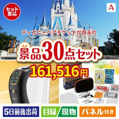 ディズニーペアチケットが目玉のオールジャンルの景品が揃う万能景品30点セットA