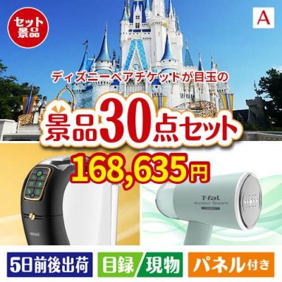 ディズニーペアチケットが目玉のオールジャンルの景品が揃う万能景品30点セットA