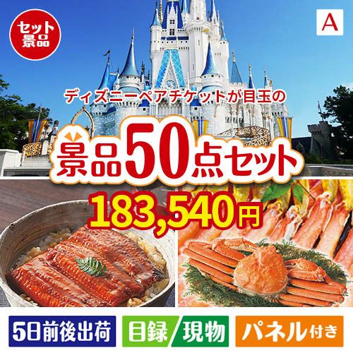 東京ディズニーリゾート１DAYパスポート ぺア 50点セットA