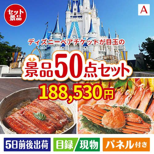 ディズニーペアチケットが目玉の実用性抜群の景品50点セットA