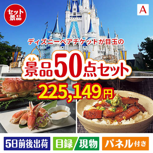 ディズニーペアチケットが目玉の実用性抜群の景品50点セットA