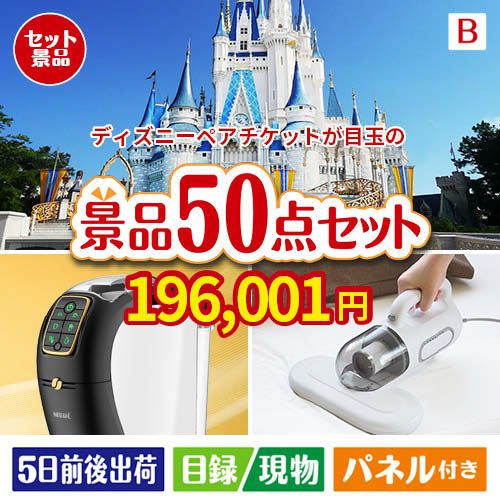 東京ディズニーリゾート１DAYパスポート ぺア 50点セットB