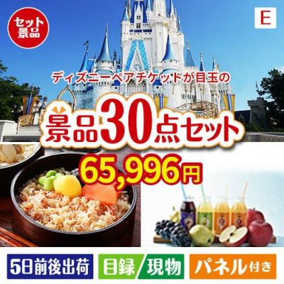 東京ディズニーリゾート１DAYパスポート ぺア30点セットE