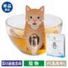 和猫４種セット（４包入）