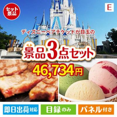 ディズニーペアチケットが目玉の和牛とハーゲンダッツの極上グルメ景品3点セットE
