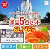 東京ディズニーリゾート１DAYパスポート ぺア 5点セットE