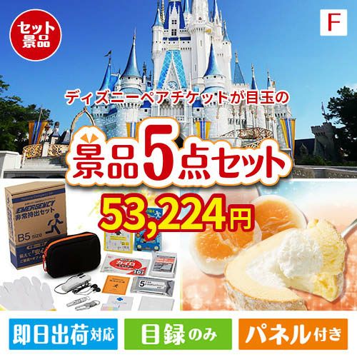 ディズニーペアチケットが目玉の備えも贅沢も叶う景品5点セットF