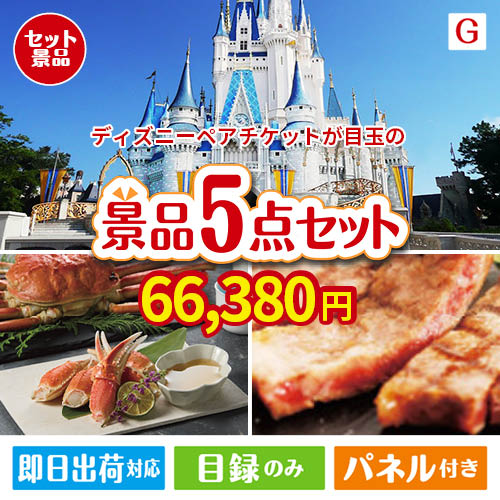 ディズニーペアチケットが目玉の食の贅沢と快適アイテムで喜ばれる景品5点セットG