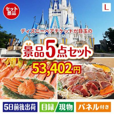 ディズニーペアチケットが目玉の家族が喜ぶ景品5点セットL