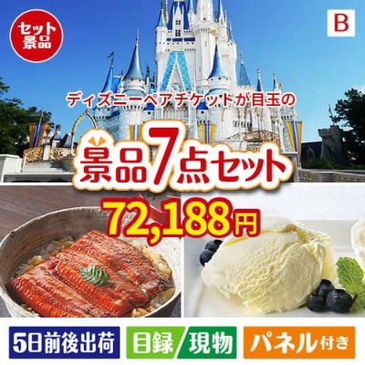 ディズニーペアチケットが目玉の和食もスイーツも楽しめる大満足の景品7点セットB