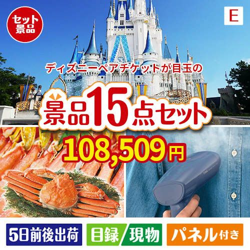 東京ディズニーリゾート１DAYパスポート ぺア 15点セットE