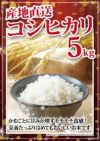 特別栽培米 新潟県岩船産こしひかり 5kg