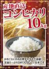 新潟県奥阿賀産こしひかり 10kg