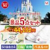 東京ディズニーリゾート１DAYパスポート ぺア 5点セットM