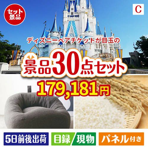 東京ディズニーリゾート１DAYパスポート ぺア 30点セットC | 景品ショップマイルーム